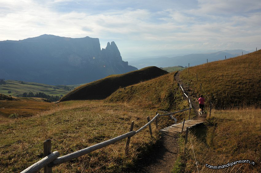 165 Sullo sfondo lo Sciliar e la Punta Sentner.JPG